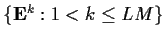 $\{ {\bf E}^{k}: 1 < k \leq LM \} $