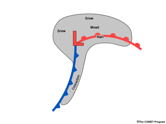 Conceptual diagram of a low pressure system with cold and warm fronts.  Snow occurs to the northwest of low and north of warm front, mixed precip occurs just north of the warm front, and rain occurs along and south of the warm front.  Convection occurs along and ahead of the cold front.