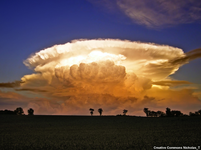 A beautiful reddish to orange to yellow to off-white colored thunderstorm (from bottom to top respectively) grows into a bluish-purple sky over farm land with patchy forest of deciduous trees.  The updraft is fleecy/woolly about half as wide as the feather-edged, otherwise crisp Frisbee-shaped anvil.